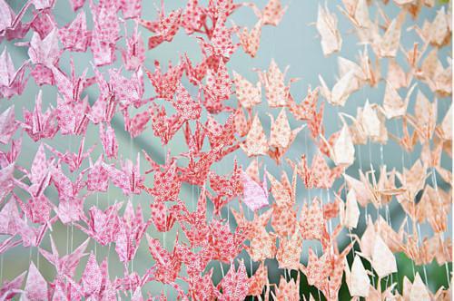 主角沈灵泽林若棠小说 沈灵泽林若棠小说全文免费阅读