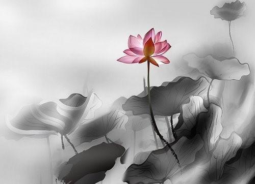 地质勘探师老公痴迷落洞女，我改嫁糙汉他悔疯了最新章节 姜怡林默北在线阅读