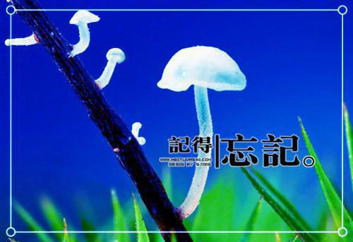 姜盈盈林宛玉小说阅读 姜盈盈林宛玉全文免费无广告