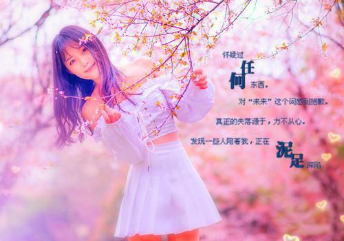 江时音傅闫川(傅闫川沈羽薇)无弹窗阅读