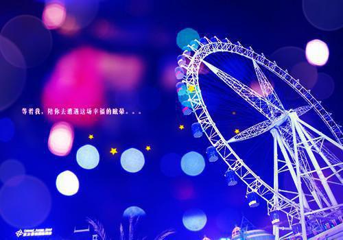 陆总，夫人她修无情道飞升了免费阅读 陆霖洲应不染小说无弹窗