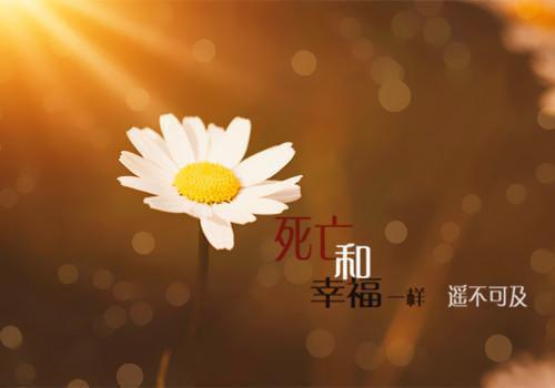 江月顾衍之小说名 破茧:后续侠名在线阅读