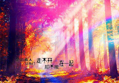 (最新)顾美丽赵晓雅小说完整版免费阅读