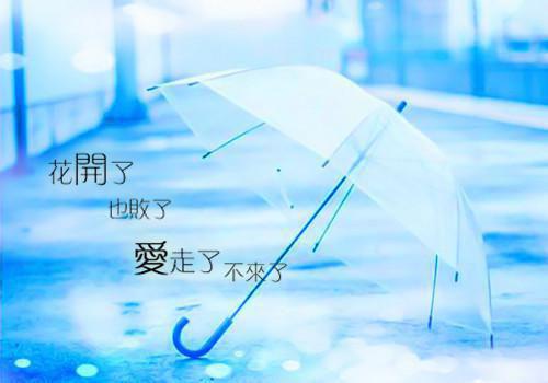 结婚五年后，怨种竹马还在等着我求他：小说结局+番外免费读全文 张芮裴逸之林晚小说无弹窗