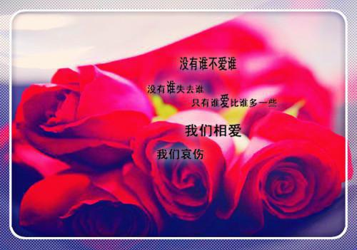 前传你只是排遣寂寞的工具罢了续集(你只是排遣寂寞的工具罢了)终章阅读极简（你只是排遣寂寞的工具罢了）