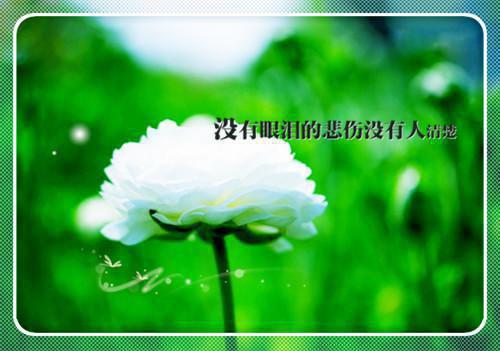 音娉沈越凌免费阅读小说 音娉沈越凌第5章