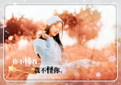 深秋明月映海棠程念霜顾星芷裴景淮最新章节在线阅读