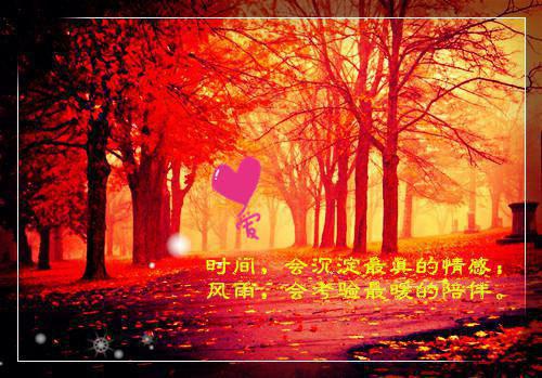 老婆为玄学大师砸了我的道观顾铭叶清雅完结小说全文在线阅读