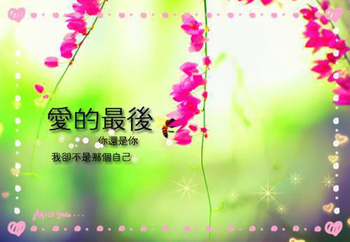 女儿癌症晚期，妻子却去陪了竹马无广告 晨晨唐微微在线免费阅读