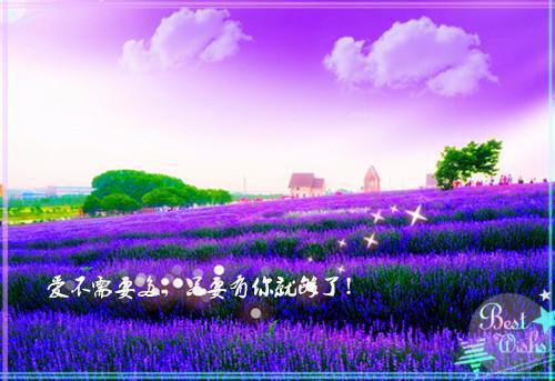 林妍可沈泽川是哪部小说的主角 林妍可沈泽川全文阅读