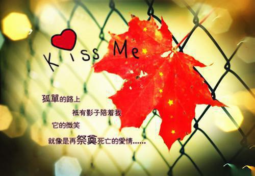 南汐君洛最新篇章 妻子为救白月光，用满城的百姓性命交换全本免费阅读