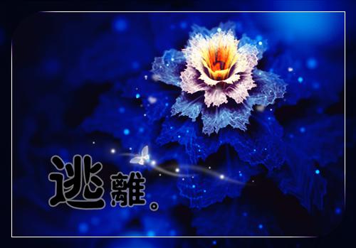 孟寻洲赵忍冬是什么小说的主人公 孟寻洲赵忍冬免费阅读