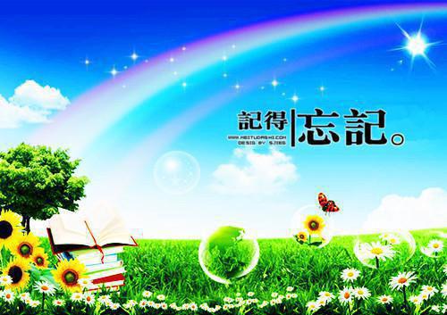 贺予安白瑶小说 贺予安白瑶全文免费阅读