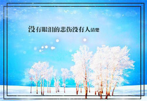 沈意礼傅景谦什么小说 沈意礼傅景谦全文免费阅读