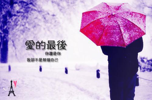 谢冷情谢初九大结局免费阅读 谢冷情谢初九全文小说