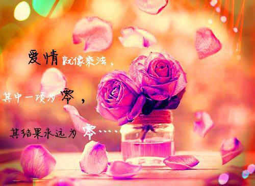 囚雀南飞小说(谢昭宁陆筠庭)章节目录+起点章节（囚雀南飞）全篇清爽版在线