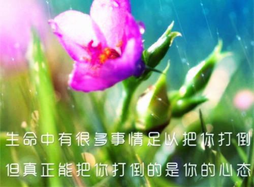 旧故里：结局陆辞澜林妍昭小说 陆辞澜林妍昭在线阅读第3章