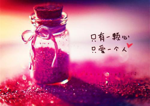江姝清谢瑾行小说免费 江姝清谢瑾行第3章在线阅读