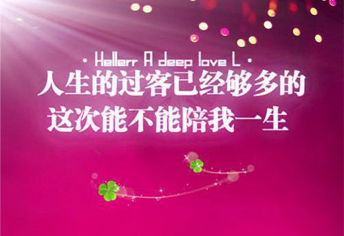 沈昭昭白至晟第3章 沈昭昭白至晟小说免费阅读