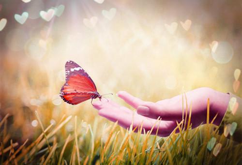 发小对我绑定了钱财转移系统后周建芳李晓菲无广告小说免费在线阅读