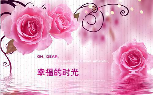 宋歆雅傅时安是什么书 宋歆雅傅时安免费章节在线阅读
