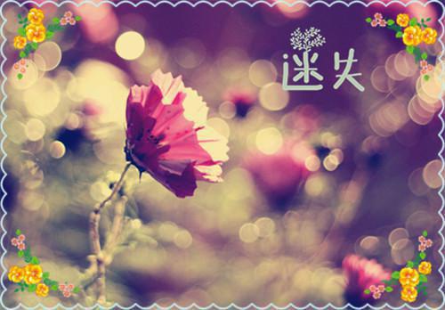 全本人面桃花长相忆：后续+免费+番外（阮雾梨闻砚辞）最新章节列表_全本人面桃花长相忆：后续+免费+番外全文阅读