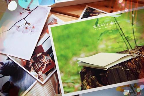 人面桃花长相忆：前言+后续极佳剧情(阮雾梨闻砚辞)最新章节列表_人面桃花长相忆：前言+后续极佳剧情全文免费阅读(阮雾梨闻砚辞)