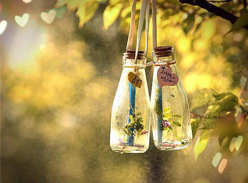 傅辰江严许瑶免费章节最新 被老公超雄私生子害死重生后，我另嫁他人by美意