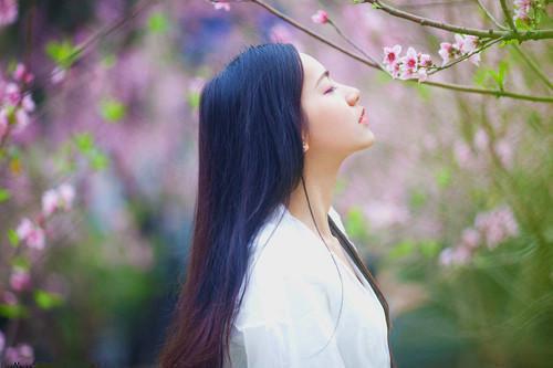 沈宴白藤绾星是哪部小说的主角 沈宴白藤绾星全文阅读