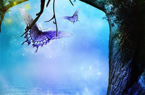 婚里婚外，半欢半爱最新章节列表_婚里婚外，半欢半爱全文免费阅读(秦苏司徒慎+)