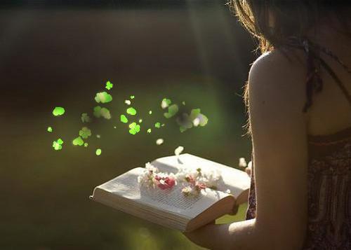 爱似月光不可及完结篇(黎惜苒陆云深)章节:结局+番外评价五颗星