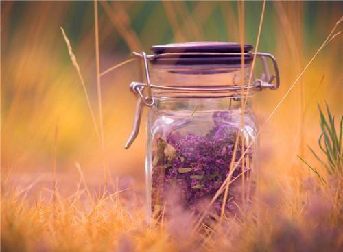 叶北宸凤念安（全文黄泉情难渡：+后续+结局）全文免费阅读无弹窗大结局_(叶北宸凤念安)最新章节列表_笔趣阁（全文黄泉情难渡：+后续+结局）