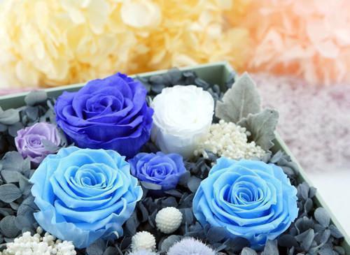 （书荒必看）前夫人淡如菊？我嫁军官他气疯了小说(谢娇娇)无删减在线下载阅读最终终章