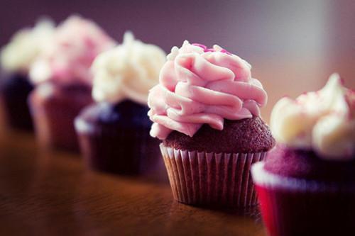 谢璐暖谢景屿苏语嫣小说 谢璐暖谢景屿苏语嫣免费全文阅读