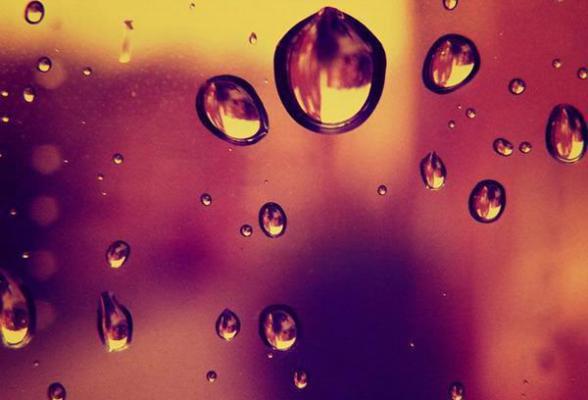 夏清元时佑免费小说 夏清元时佑全文阅读目录