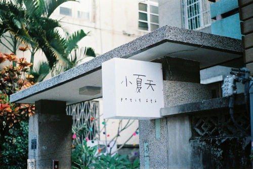 江厌辞小说 江厌辞完整版免费阅读
