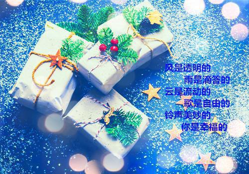 夜熙沈沁月她追我逃，病娇女财阀终成小娇妻续集（她追我逃，病娇女财阀终成小娇妻）章节在线阅读最近章节