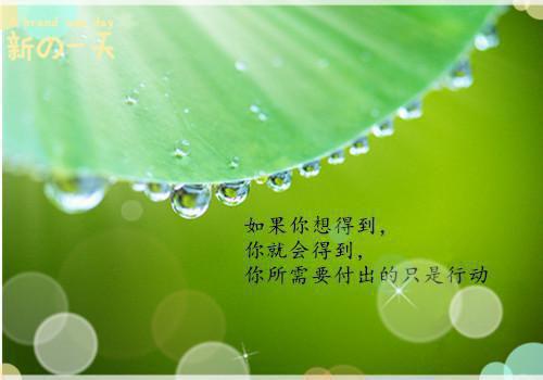 总裁夫人她五行缺德：结局+番外（时岑盛景琛）最新章节列表_总裁夫人她五行缺德：结局+番外全文阅读