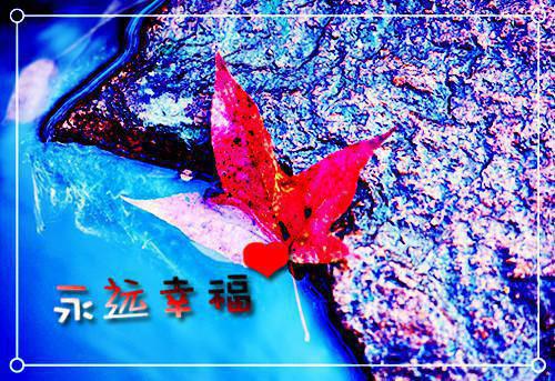 (完整版)宋子期许婵小说免费阅读无广告