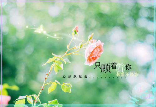 陆昀昭江玉柔沈晓雪是啥小说 陆昀昭江玉柔沈晓雪免费阅读无广告