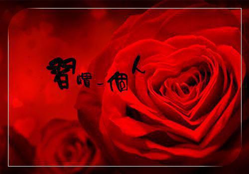 失忆后，我和第十任丈夫HE了：结局+番外+完结(完整版)全文免费阅读池央央沈序安小说