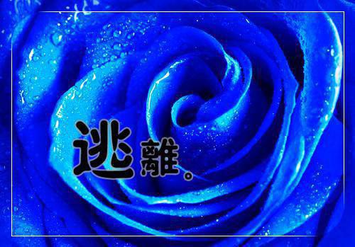 陆白羽苏沐歌免费阅读第2章 陆白羽苏沐歌大结局