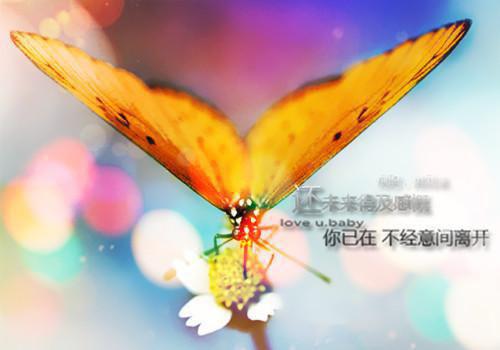 洪荒：我红云，就喜欢做老好人！最新章节 红云东皇太一在线阅读