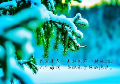 (完整版)乔妍林淼淼苏原沈曦小说免费阅读无广告