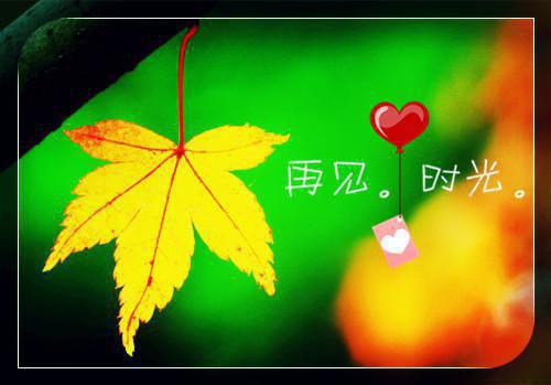 慕卿顾若娇小说全文 慕卿顾若娇小说免费阅读大结局