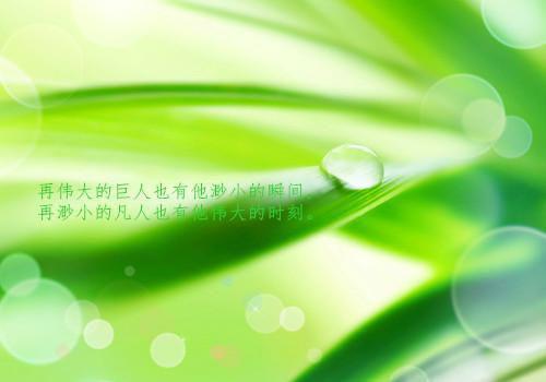 那些年错过的人免费章节抢先阅读