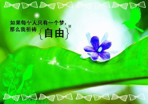 张瑶徐阳小说在线阅读 张瑶徐阳最新章节目录