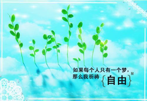 江舒棠顾政南罗大江小说全文免费阅读 江舒棠顾政南罗大江最新章节