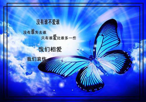 谢安澈黎初雨小说叫什么 谢安澈黎初雨小说全文免费阅读