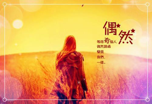 洛成凛南鸢全文免费 洛成凛南鸢在线阅读